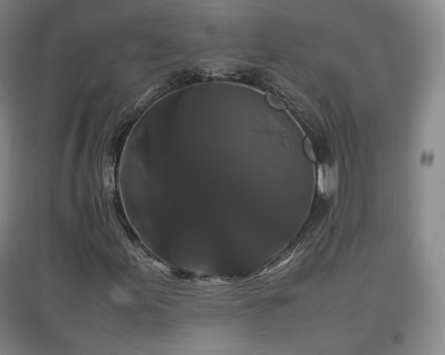 X0000097481155200802221346