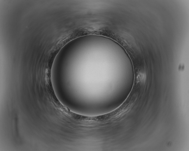 X0000097481156200802221345