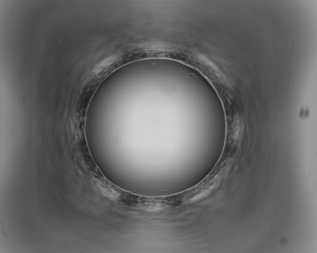 X0000097481157200802221345