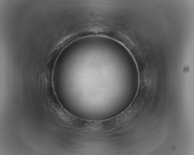 X0000097481158200802221345