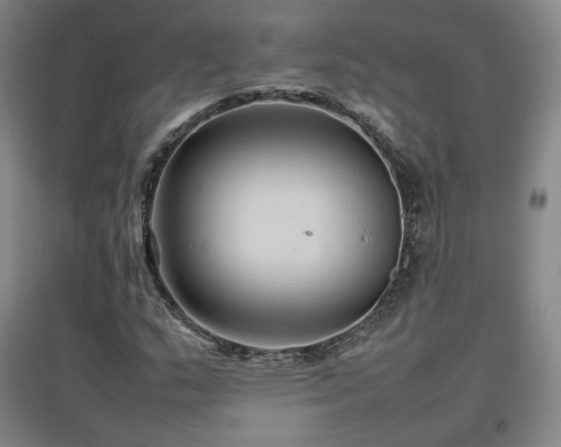 X0000097481159200802221345