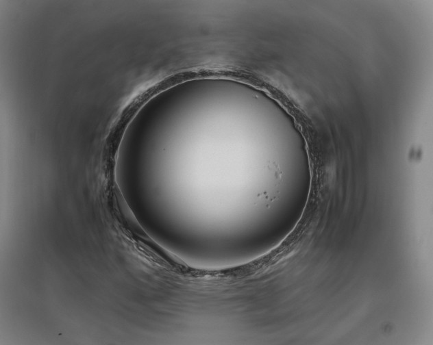 X0000097481160200802221345
