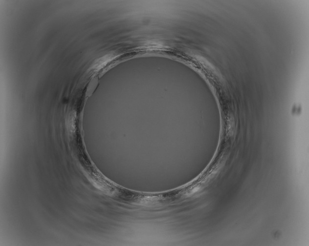 X0000097481161200802221345