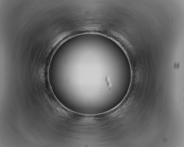 X0000097481162200802221345