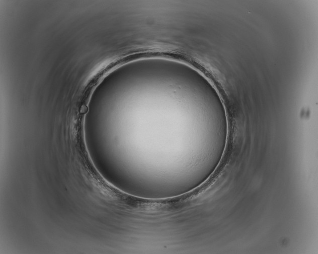 X0000097481163200802221345