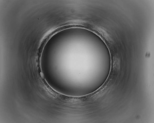 X0000097481164200802221345