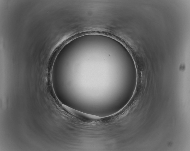 X0000097481165200802221345