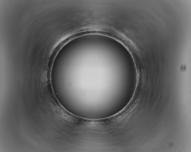 X0000097481166200802221345