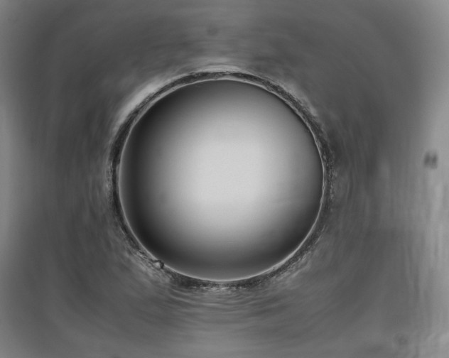 X0000097481167200802221345