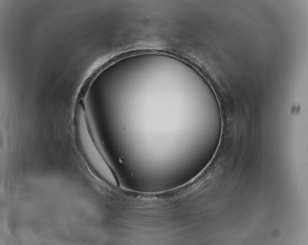 X0000097481168200802221345