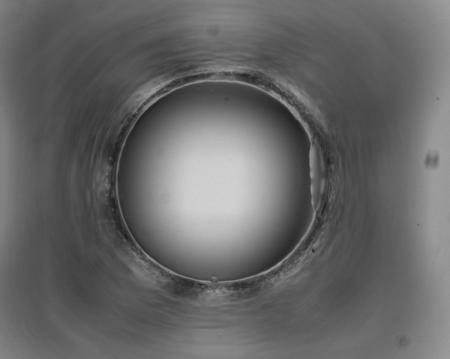 X0000097481169200802221345