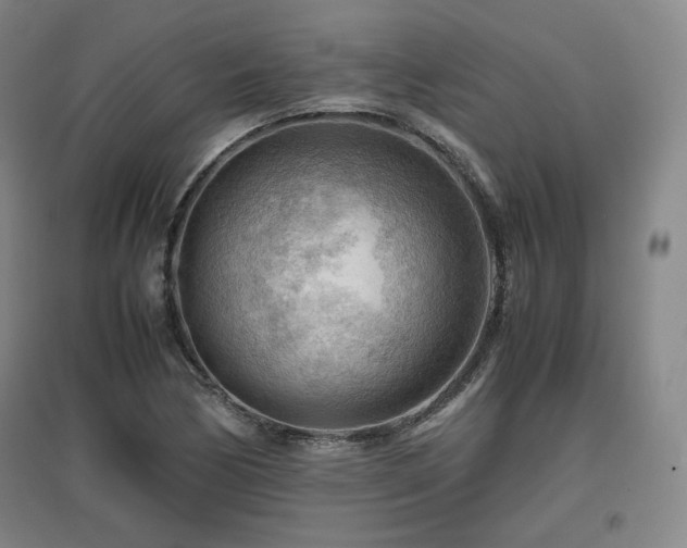 X0000097481170200802221345