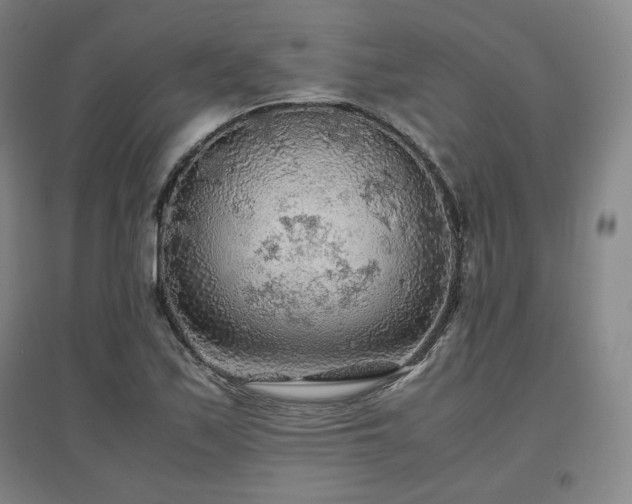 X0000097481171200802221345