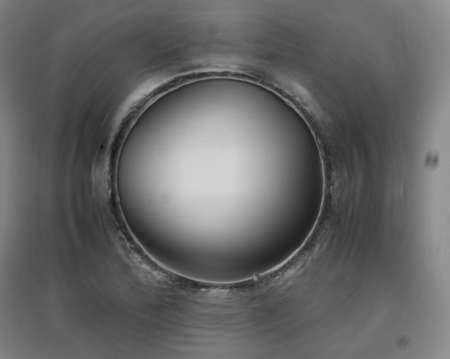 X0000097481172200802221345