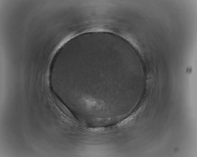 X0000097481173200802221345