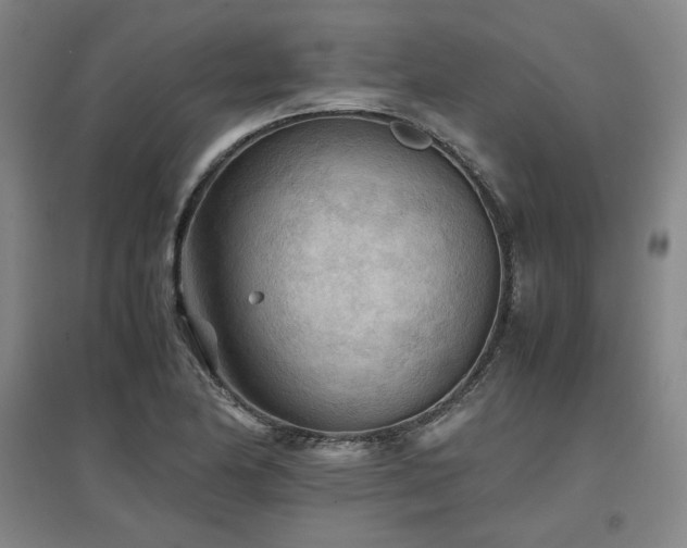 X0000097481174200802221345