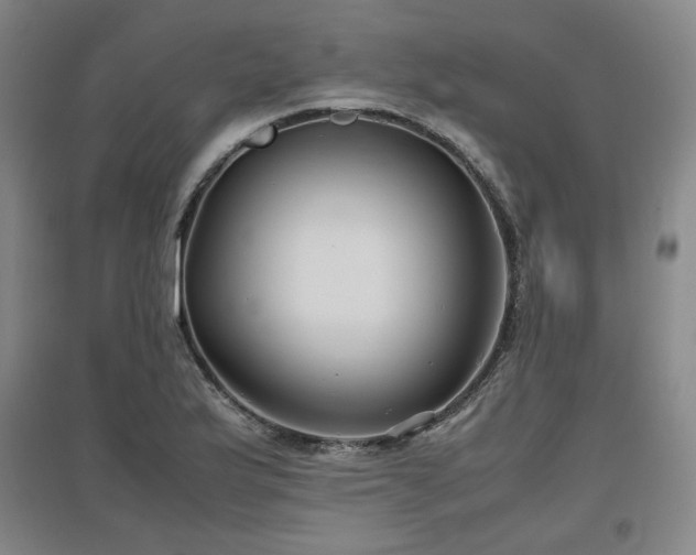 X0000097481175200802221345