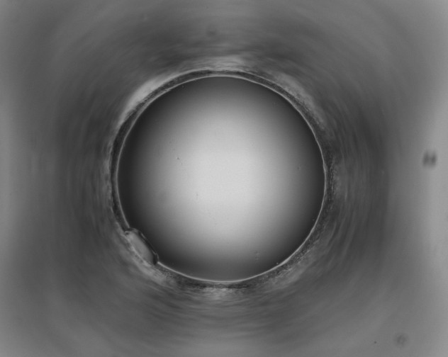 X0000097481176200802221345