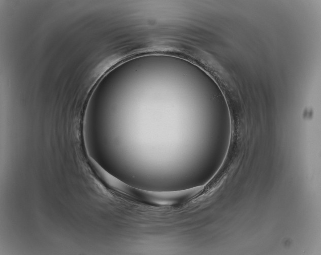 X0000097481177200802221345