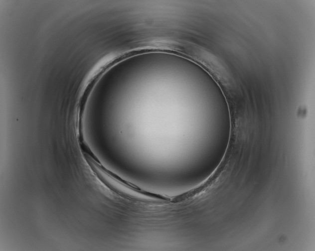 X0000097481180200802221345