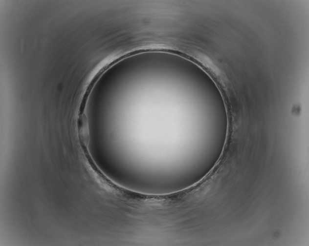 X0000097481181200802221345