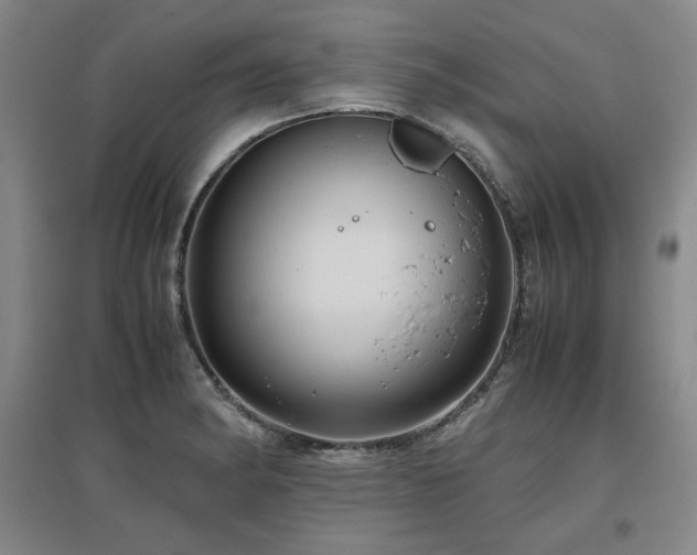 X0000097481182200802221345