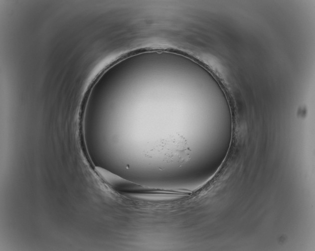 X0000097481183200802221345