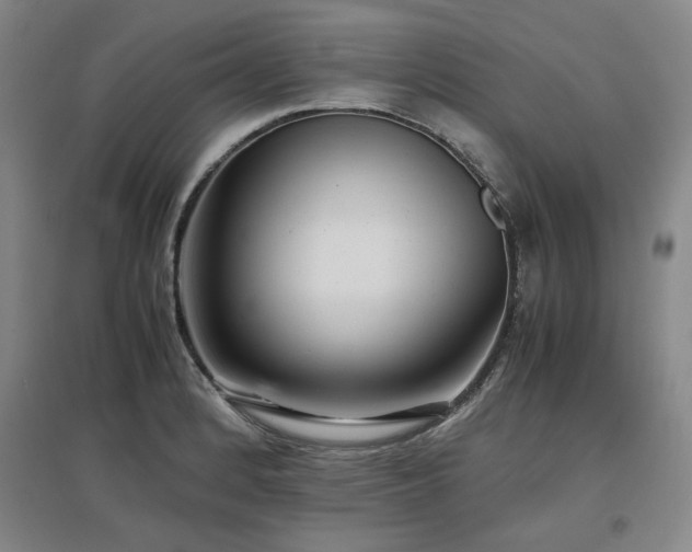 X0000097481184200802221345