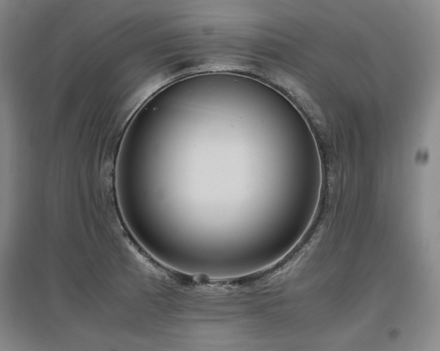 X0000097481185200802221345