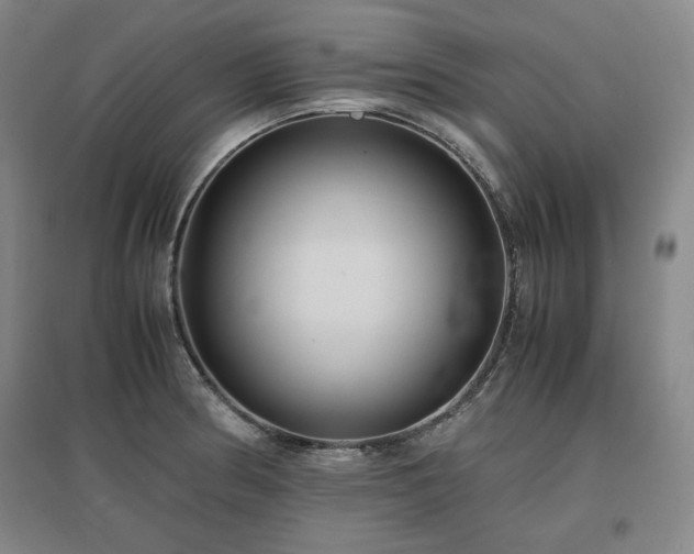 X0000097481186200802221345