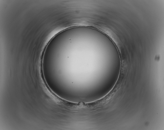X0000097481187200802221345
