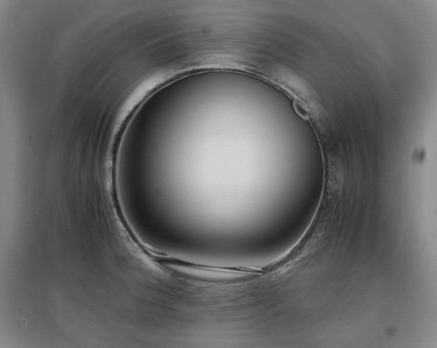 X0000097481188200802221345