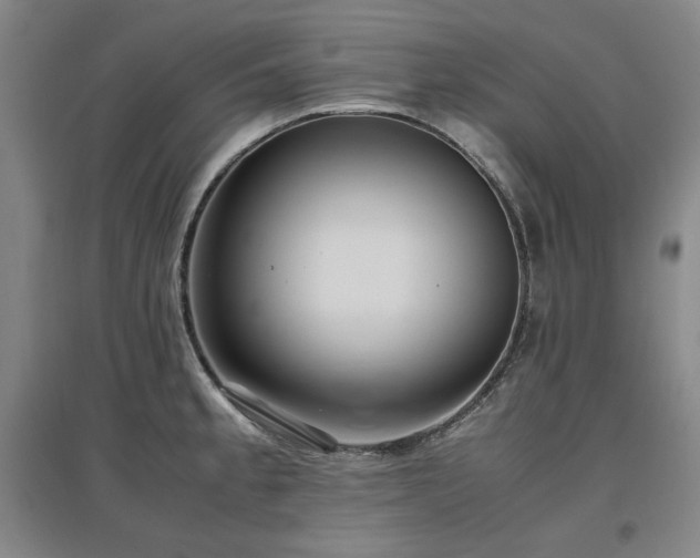 X0000097481189200802221345