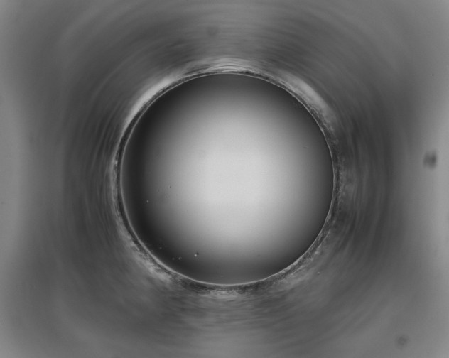 X0000097481190200802221345