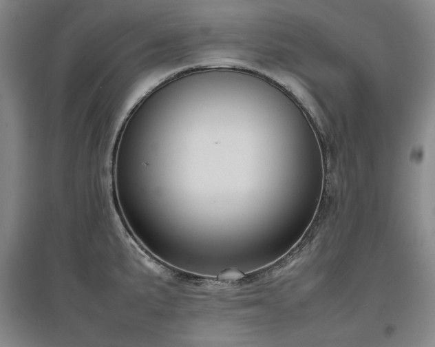X0000097481191200802221345