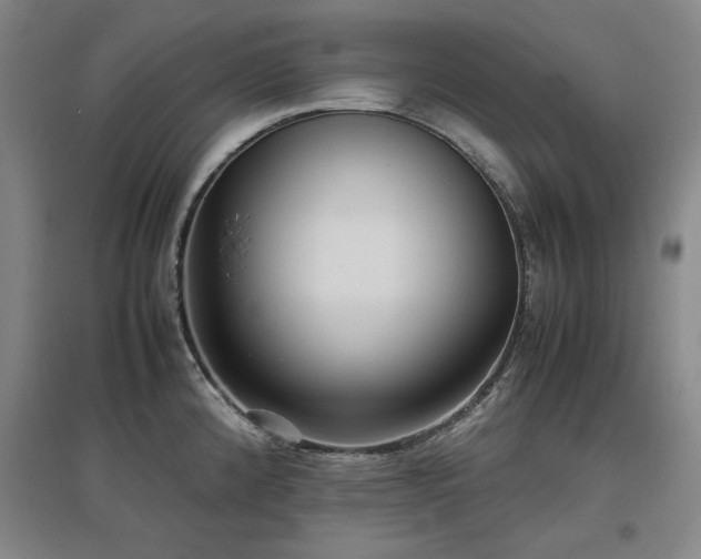 X0000097481192200802221345