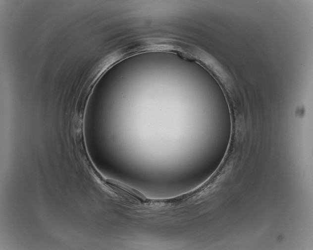 X0000097481193200802221345