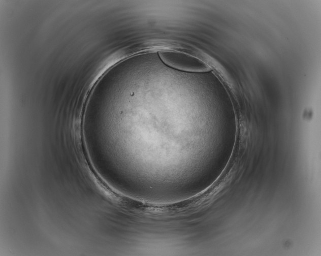 X0000097481194200802221345