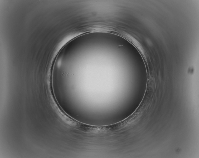 X0000097481195200802221345