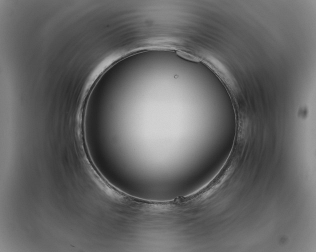 X0000097481196200802221345