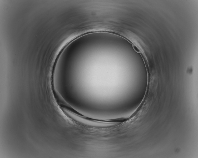 X0000097481197200802221345