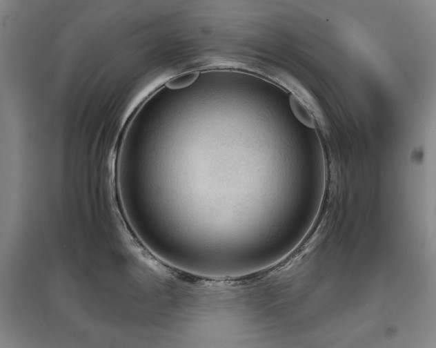 X0000097481198200802221345