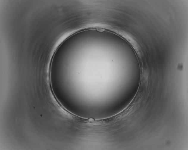 X0000097481199200802221345