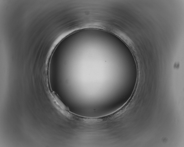 X0000097481200200802221345