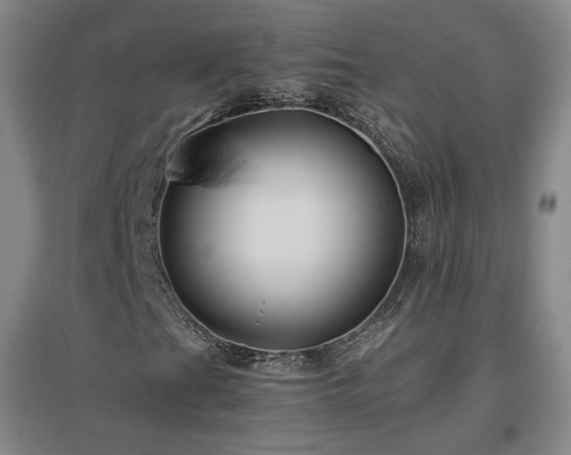 X0000097481201200802221344