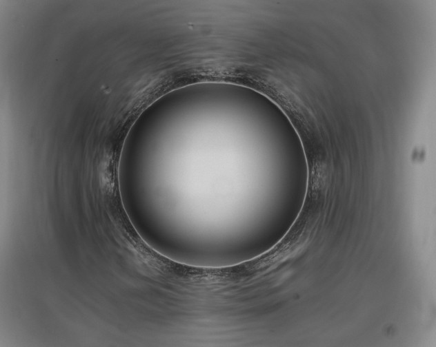 X0000097481202200802221344