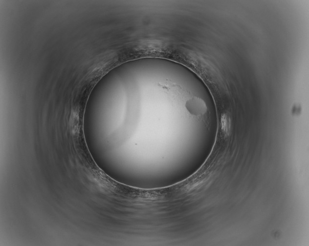 X0000097481203200802221344