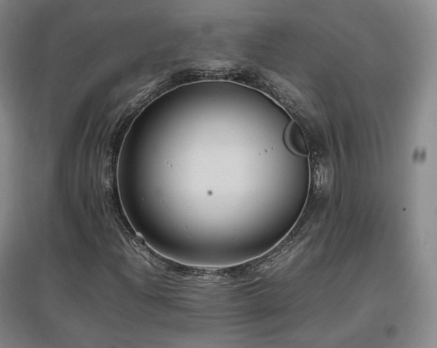 X0000097481204200802221344