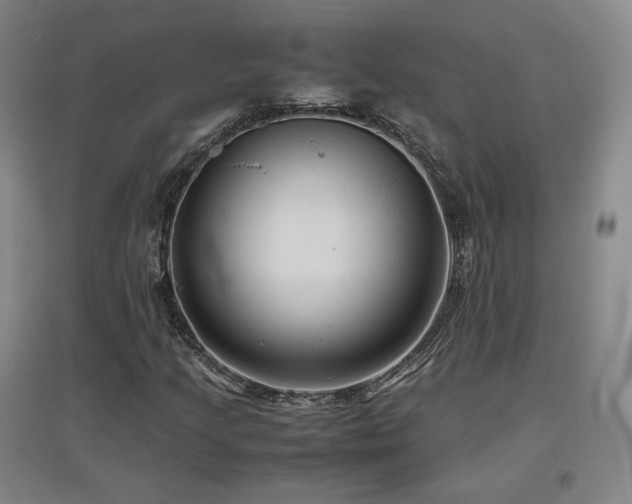 X0000097481205200802221344
