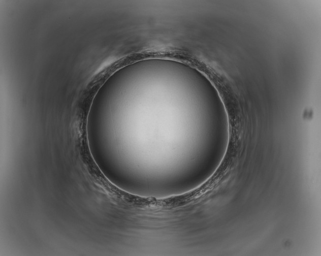 X0000097481206200802221344